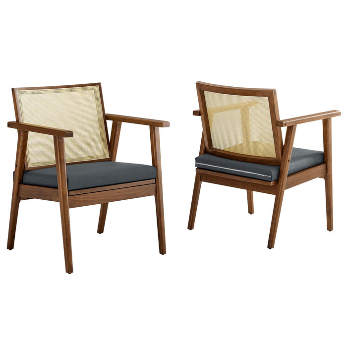 Thera Vegan Leather and Cane Accent Armchairs Set of 2