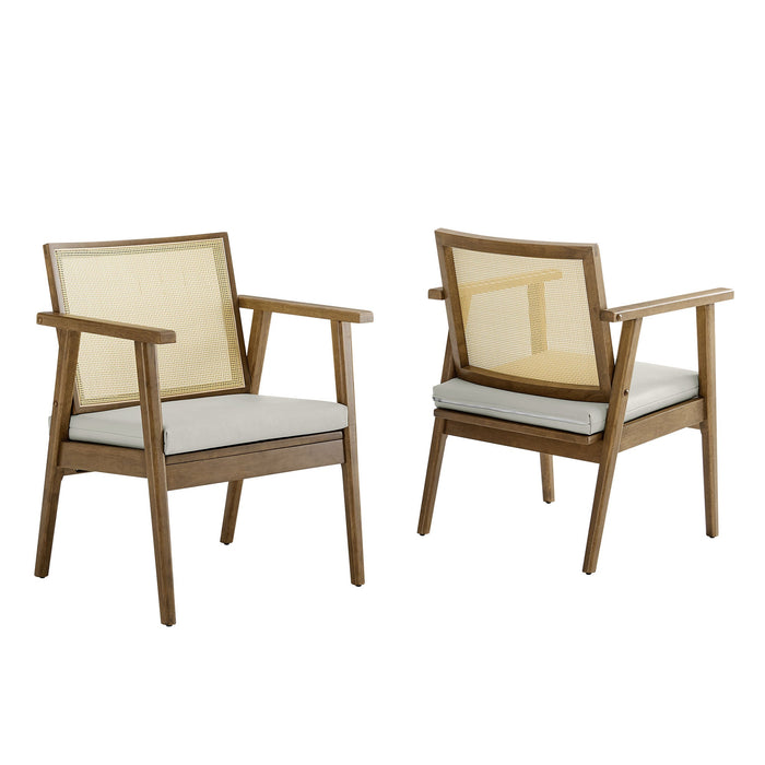 Thera Vegan Leather and Cane Accent Armchairs Set of 2