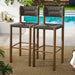 Parkland Outdoor Patio Rattan and Aluminum Bar Stools Set of 2 Walnut