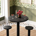 Neo 3-Piece Round Indoor - Outdoor Patio Wood Bar Table And Stool Set Black