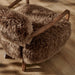 Modway Zinnia Faux Fur Accent Chair in Brown - lifestyle view 12