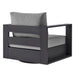 Tahoe Outdoor Powder-Coated Aluminum Swivel Armchair Gray Gray