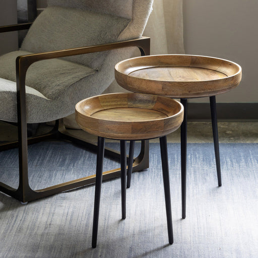 Park Hill Collection Urban Living Nested Wood and Iron Occasional Tables, Set of 2 EFS06054 Park Hill Collection