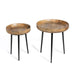 Park Hill Collection Urban Living Nested Wood and Iron Occasional Tables, Set of 2 EFS06054 Park Hill Collection