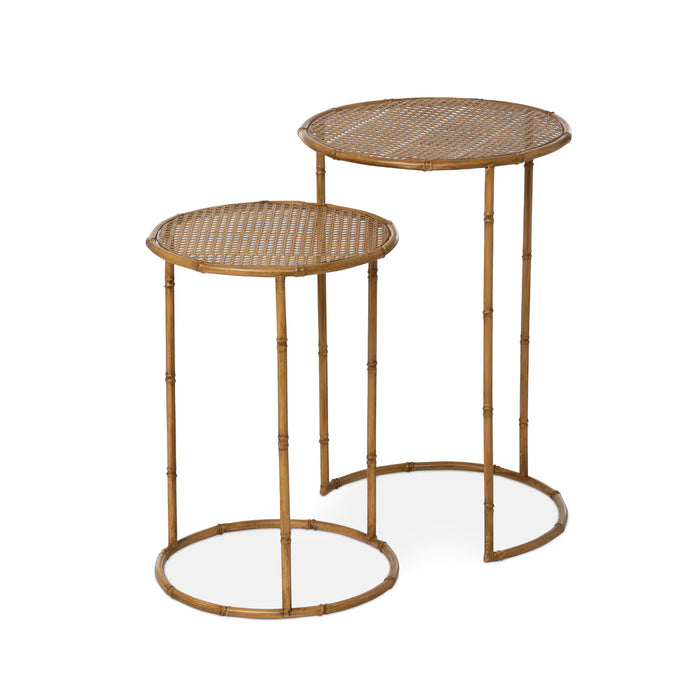 Roanoke Metal Occasional Nesting Tables (Set of 2)