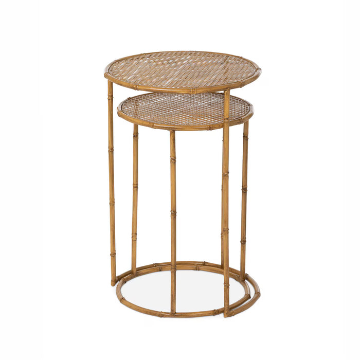 Roanoke Metal Occasional Nesting Tables (Set of 2)