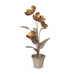 Park Hill Collection La Boheme Calytrix Metal Floral Sculpture EGG20150 Park Hill Collection