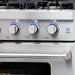 Cosmo 4 - Piece Appliance Package - 36-Inch Gas Range, Island Range Hood, Dishwasher and Refrigerator in Stainless Steel (COS-4PKG-120) Cosmo