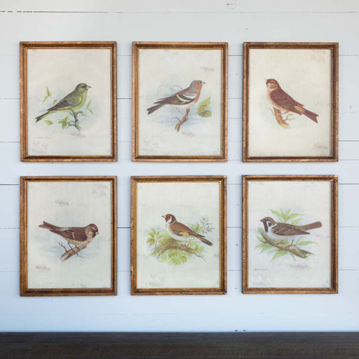 Southern Classic Vintage Bird Framed Prints, Set of 6 EWA80978 - angle view