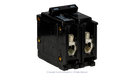 High quality photo of the Eaton - BR2100 - Double Pole Breaker 100A - Angled Left View. Photographed by Current Connected