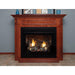 Empire Breckenridge 32" Flush Front Vent Free Deluxe Firebox VFD32FB0F Empire Comfort Systems