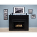 Empire Breckenridge 32" Flush Front Vent Free Deluxe Firebox VFD32FB0F Empire Comfort Systems