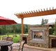 Empire Carol Rose Coastal 42" Stainless Steel Intermittent Pilot Control, Propane Gas Traditional Premium Outdoor Fireplace Empire Comfort Systems