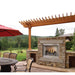 Empire Carol Rose Coastal 42" Stainless Steel Millivolt Control, Natural Gas Traditional Premium Outdoor Fireplace Empire Comfort Systems