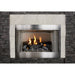 Empire Carol Rose Coastal 42" Stainless Steel Millivolt Control, Natural Gas Traditional Premium Outdoor Fireplace Empire Comfort Systems