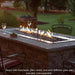 Empire Carol Rose Coastal 48" Stainless Steel Manual Control, Propane Gas Outdoor Linear Fire Pit Empire Comfort Systems