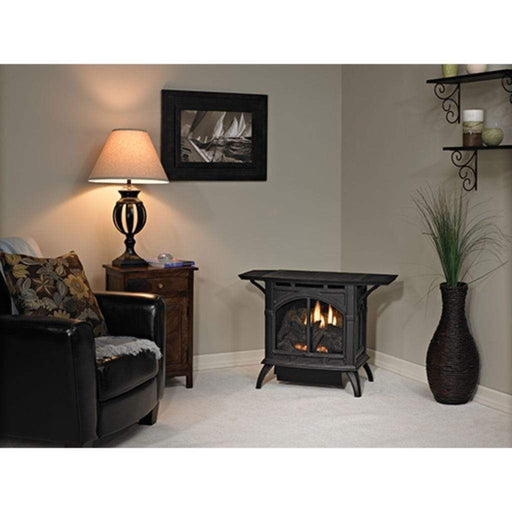 Empire Spirit 22" 20,000 BTU Matte Black Finish Intermittent Pilot Control With On/Off Switch, Propane Gas Vent Free Cast Iron Small Stove (VFD20CC70FP) Empire Comfort Systems