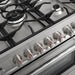 Cosmo 36-Inch 3.8 Cu. Ft. Single Oven Dual Fuel Range in Stainless Steel (COS-F965NF) Cosmo