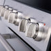 Forno Leonardo Espresso 30-Inch Stainless Steel Induction Range - Knob Close-Up