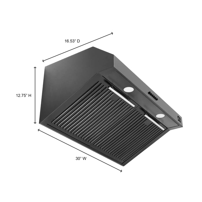 FORNO 4-Piece Appliance Package- 30-Inch Electric Range, Under Cabinet Range Hood, 31-Inch Refrigerator, and Built-In Dishwasher in Black with Antique Brass Trim (FBDL-006-02US)