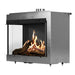 Faber MatriX 4326 Series Two-sided Left-facing Built-in Gas Fireplace - back view