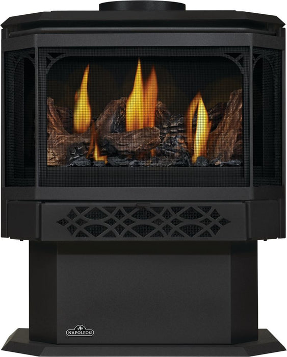 Napoleon Haliburton GDS28-1NE direct vent gas stove front view with metallic black door