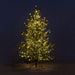7.5' Iced Blue Spruce Tree with Micro Lights H-099-3-864-16H - side view