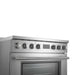 Forno Torino Induction Range 1 Oven - view 11