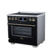 Forno Maximus 36-inch induction range in black right angled view