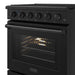 Thor Kitchen 30-Inch Black Gas Range (LRG3001UB) – close-up door