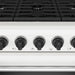 Thor Kitchen 36-Inch White Gas Range (LRG3601UW) – close-up knobs