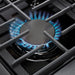 Thor Kitchen 36 in. 6.0 Cu. Ft Propane Gas Range in Stainless Steel, LRG3601ULP Thor Kitchen