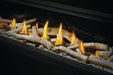 Napoleon Luxuria 74 see-through natural gas linear fireplace birch logs and Shore Fire media detail