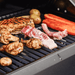 Monument Grills Mesa 220 | Black Foldable Propane Gas Grill 2 Burner Grill - View 9