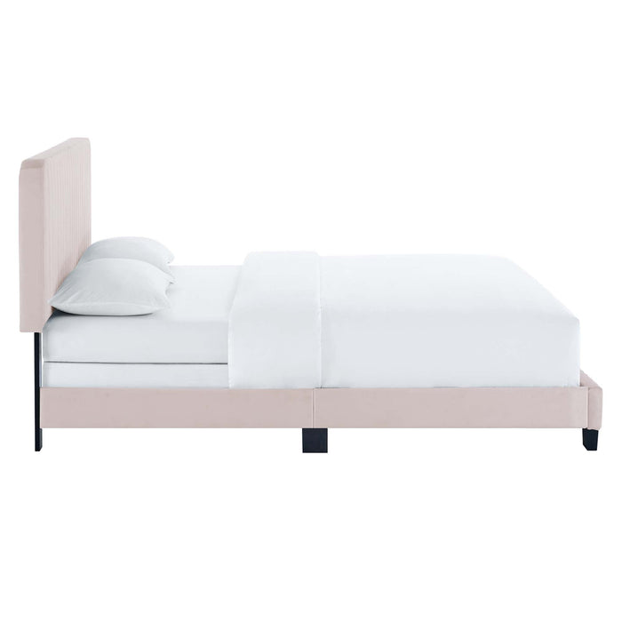Celine Channel Tufted Performance Velvet Bed