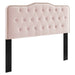 Modway Sophia Tufted Performance Velvet Headboard Bedroom Furniture in Gray