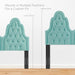 Augustine Tufted Performance Velvet Headboard - view 35