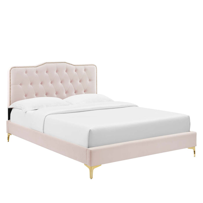Amber Performance Velvet Platform Bed With Gold Legs