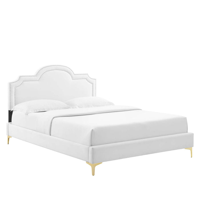 Aviana Performance Velvet Bed With Gold Legs