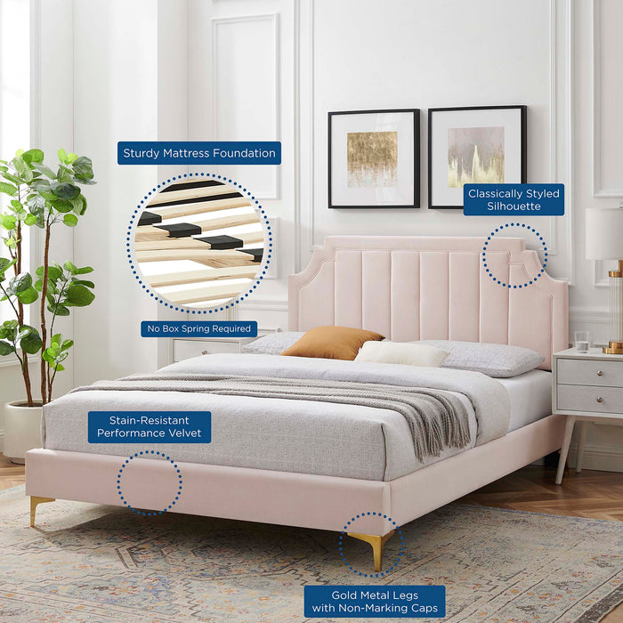 Sienna Performance Velvet Platform Bed With Gold Metal Legs