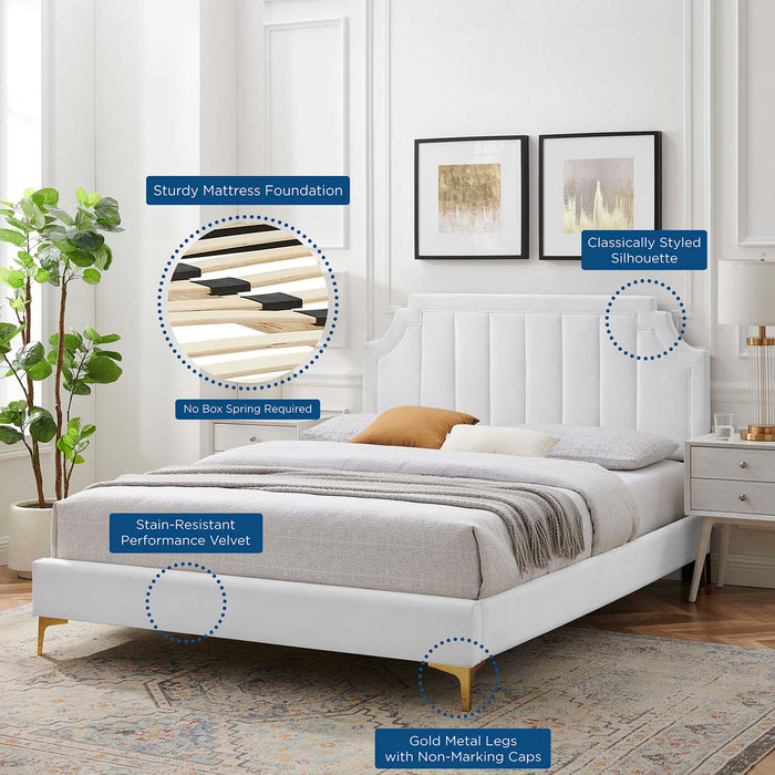 Sienna Performance Velvet Platform Bed With Gold Metal Legs