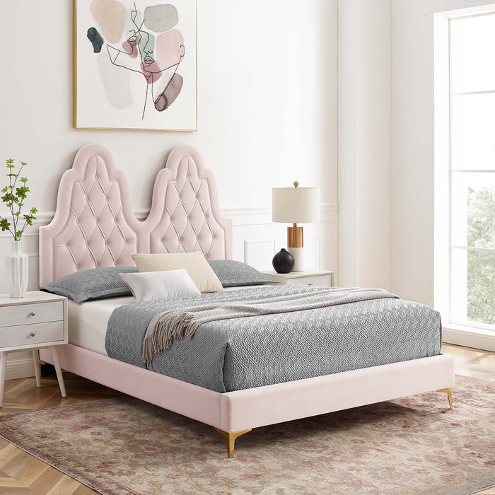 Alexandria Tufted Performance Velvet Platform Bed With Gold Legs