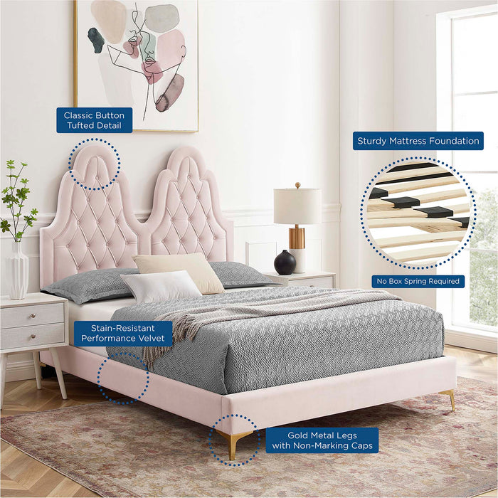 Alexandria Tufted Performance Velvet Platform Bed With Gold Legs