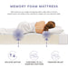 Modway Mila Mattress Bedroom Furniture - View 186
