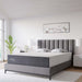 Modway Mila Mattress Bedroom Furniture - View 193