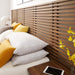 Render Wall Mount Headboard and Modern Nightstands Walnut / Queen