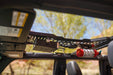 DV8 Offroad 2021-2026 Ford Bronco 4-Door Overhead Molle Panel – on the trail, image 4 of 17