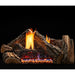 Monessen Dynamo 18" Gas Log Set