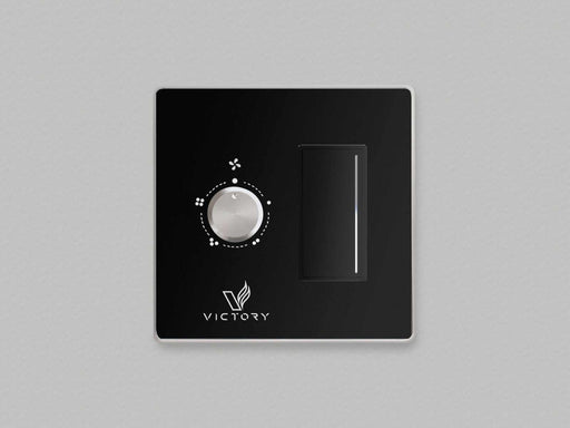 Double Wall Switch with Dimmer Switch for Victory Range Hoods