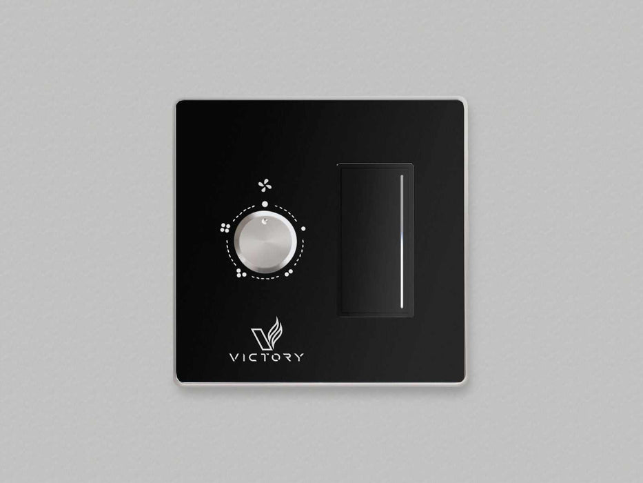Double Wall Switch with Dimmer Switch for Victory Range Hoods